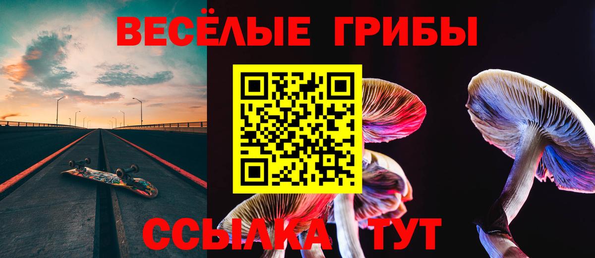 Гусиноозёрск  Псилоцибиновые грибы мухоморы  Вход с VPN  Псилоцибиновые грибы прущие грибы 